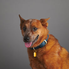 Load image into Gallery viewer, qvotb