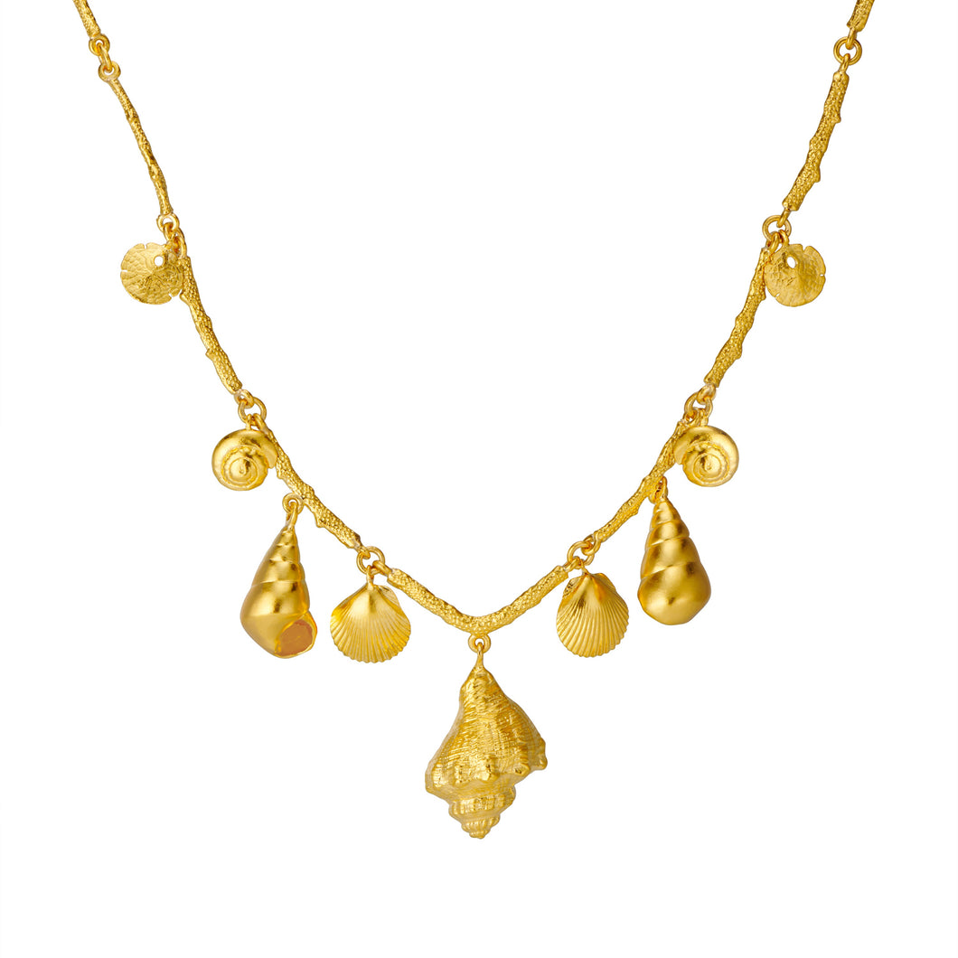 Multi Shell Necklace