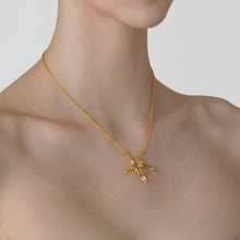 Load image into Gallery viewer, qvotb
