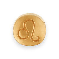 Load image into Gallery viewer, wiz-MC18.88E
