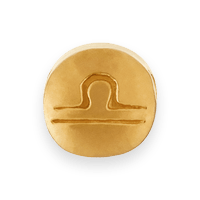 Load image into Gallery viewer, wiz-MC18.88G
