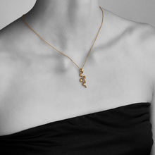 Load image into Gallery viewer, qvotb
