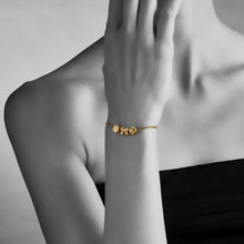 Load image into Gallery viewer, qvotb
