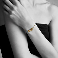 Load image into Gallery viewer, qvotb
