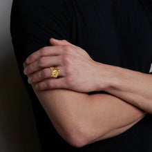 Load image into Gallery viewer, qvotb
