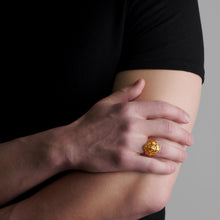 Load image into Gallery viewer, qvotb
