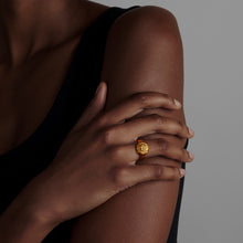 Load image into Gallery viewer, qvotb
