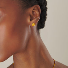 Load image into Gallery viewer, qvotb
