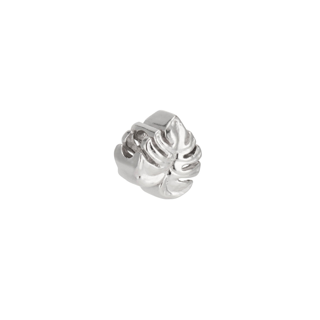 Monstera Charm