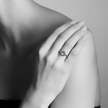 Load image into Gallery viewer, qvotb
