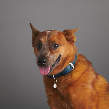 Load image into Gallery viewer, qvotb
