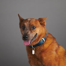 Load image into Gallery viewer, qvotb
