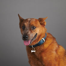 Load image into Gallery viewer, qvotb
