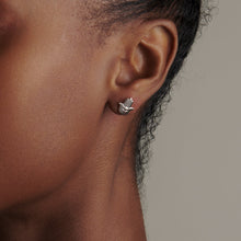 Load image into Gallery viewer, qvotb
