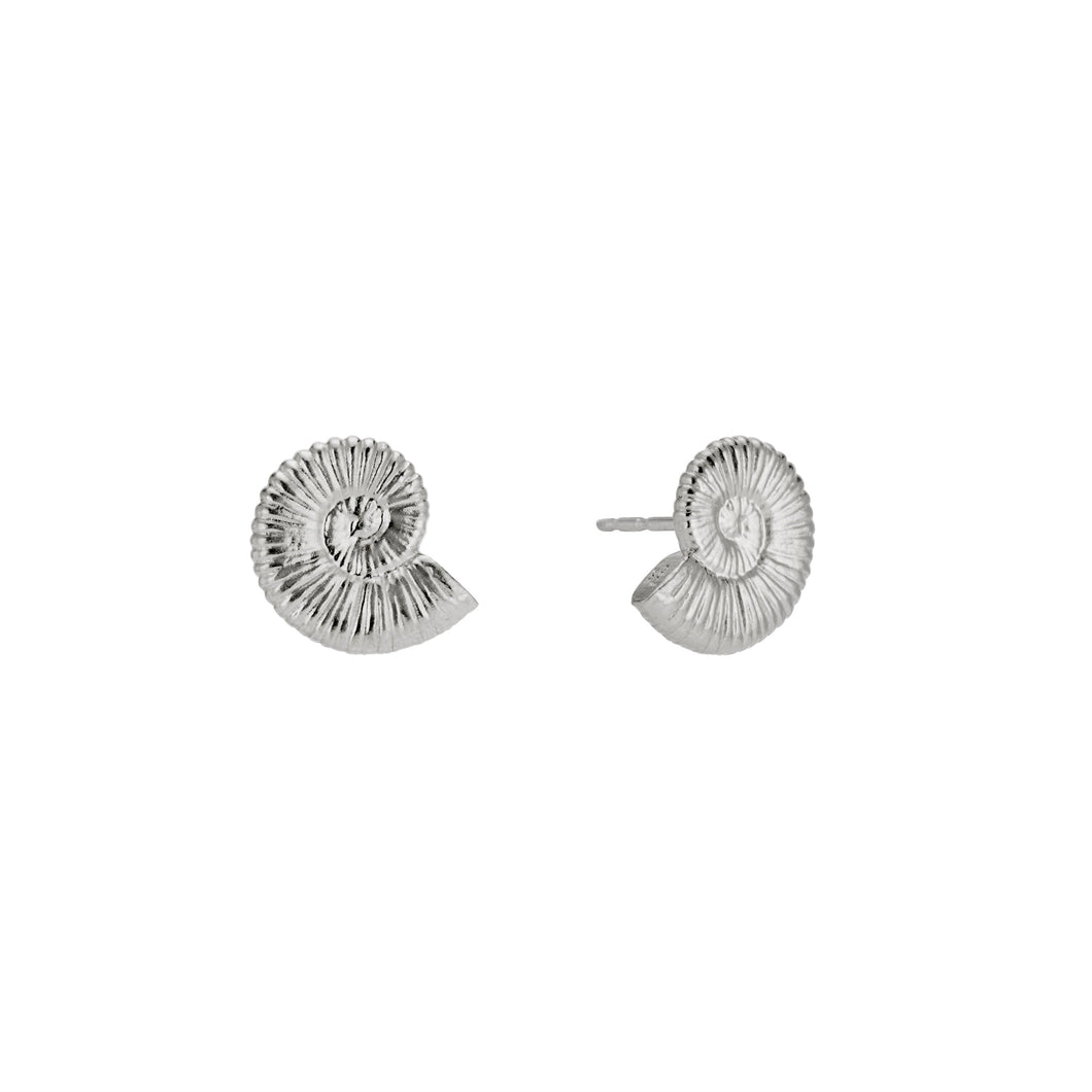 Ammonite Stud Earrings
