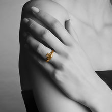 Load image into Gallery viewer, qvotb
