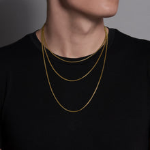 Load image into Gallery viewer, qvotb
