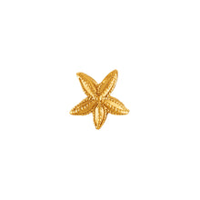 Load image into Gallery viewer, Starfish Charm
